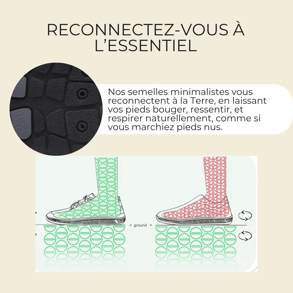 Terraia Align™ | Soulagez vos tensions